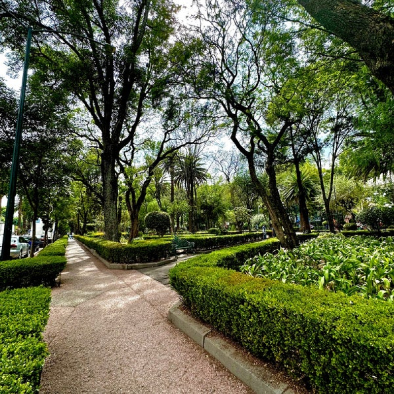 Venta Casa En Narvarte Oriente, Uso Suelo H4