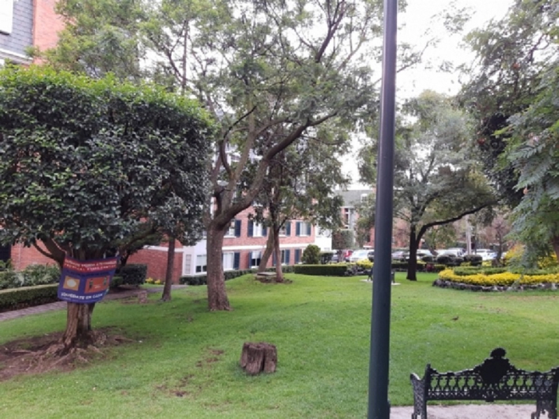 Departamento En Renta En Pedregal 2, Edificio Rodas Piso 2