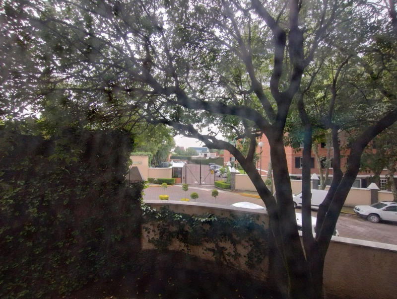 Departamento En Renta En Pedregal 2, Edificio Rodas Piso 2