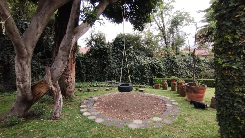 Departamento En Renta En Pedregal 2, Edificio Rodas Piso 2