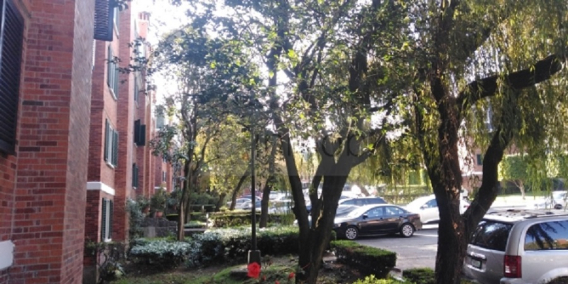 Departamento En Renta En Pedregal 2, Edificio Rodas Piso 2