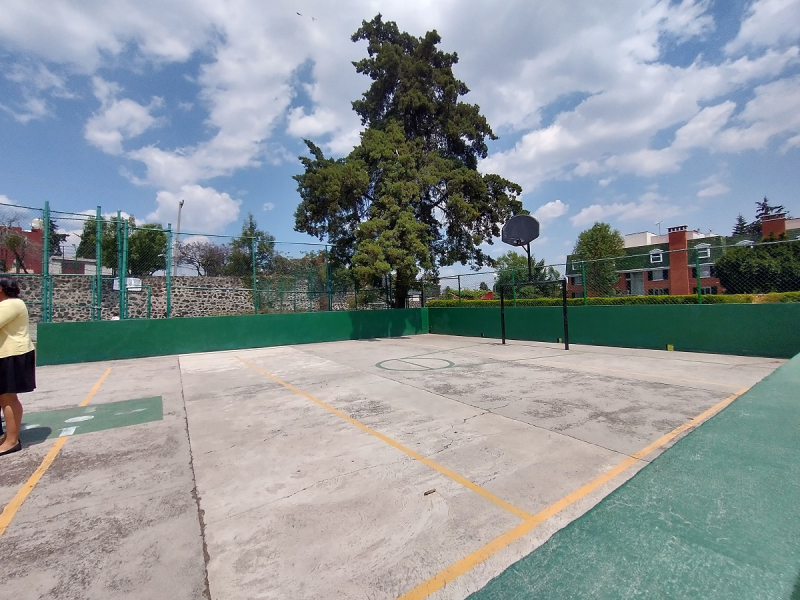 Departamento En Renta En Pedregal 2, Edificio Rodas Piso 2