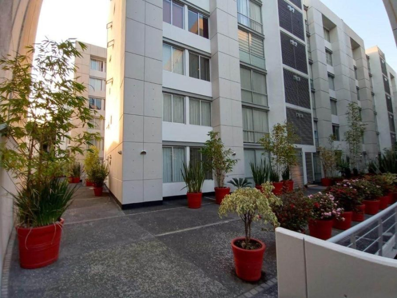 Renta Departamento En Santa Cruz Atoyac