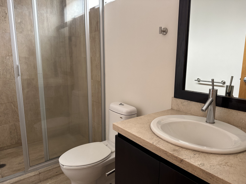 Departamento En Renta En Polanco