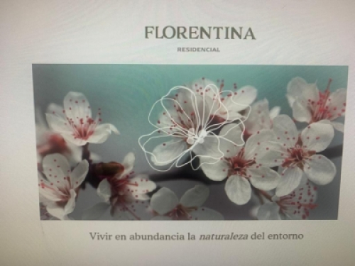 Venta De Terrenos En San Juan Cosala, FLORENTINA RESIDENCIAL.