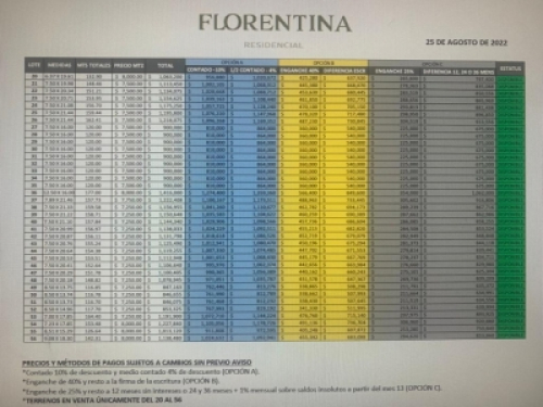 Venta De Terrenos En San Juan Cosala, FLORENTINA RESIDENCIAL.