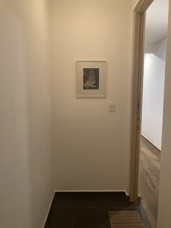 Departamento Amueblado En Renta En Condesa Choapan 