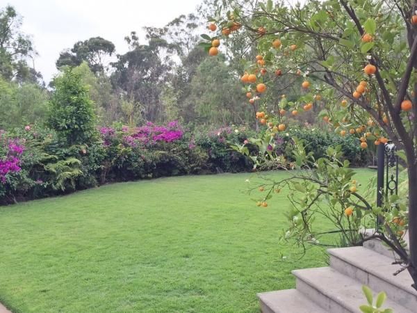 Casa En Venta Lomas De Santa Fe