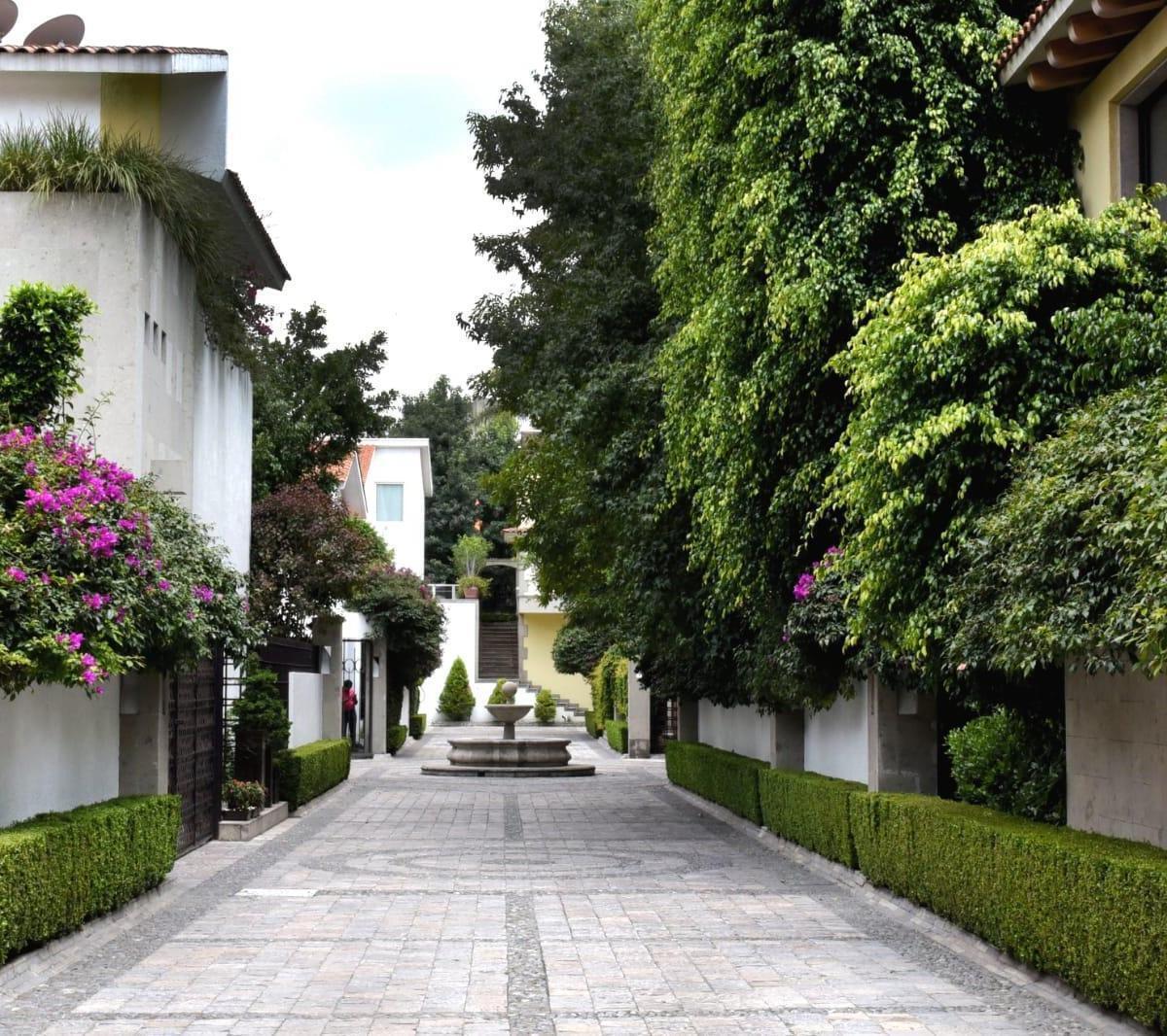 vive en la tranquilidad de chimalistac en una casa única.