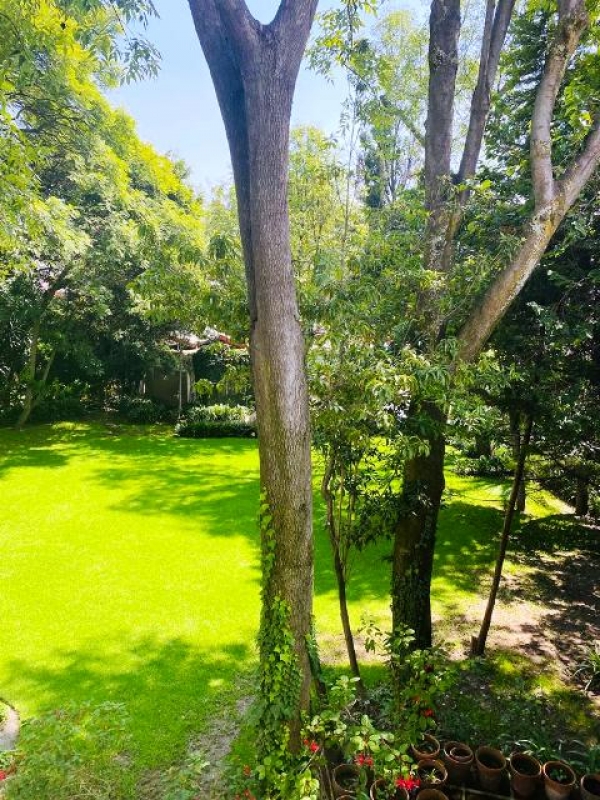 TORRENTE. Terreno en venta en las Águilas. Excelente para desarrolladores