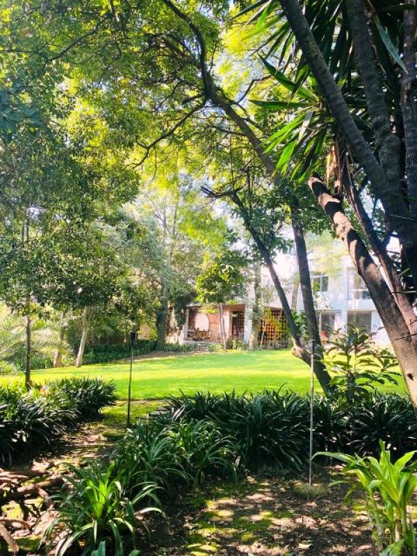 TORRENTE. Terreno en venta en las Águilas. Excelente para desarrolladores
