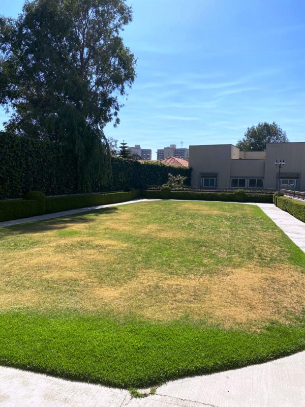 AV. LOMAS DE VISTA HERMOSA, Casa con Enorme Jardín de 780 mts.