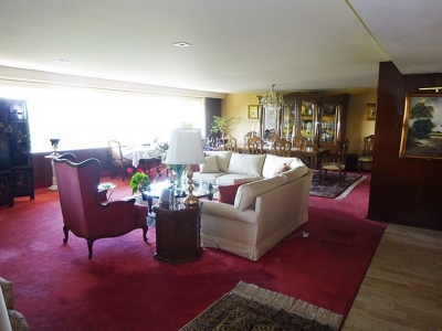 departamento en venta en polanco, ruben dario