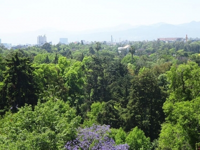 departamento en venta en polanco, ruben dario
