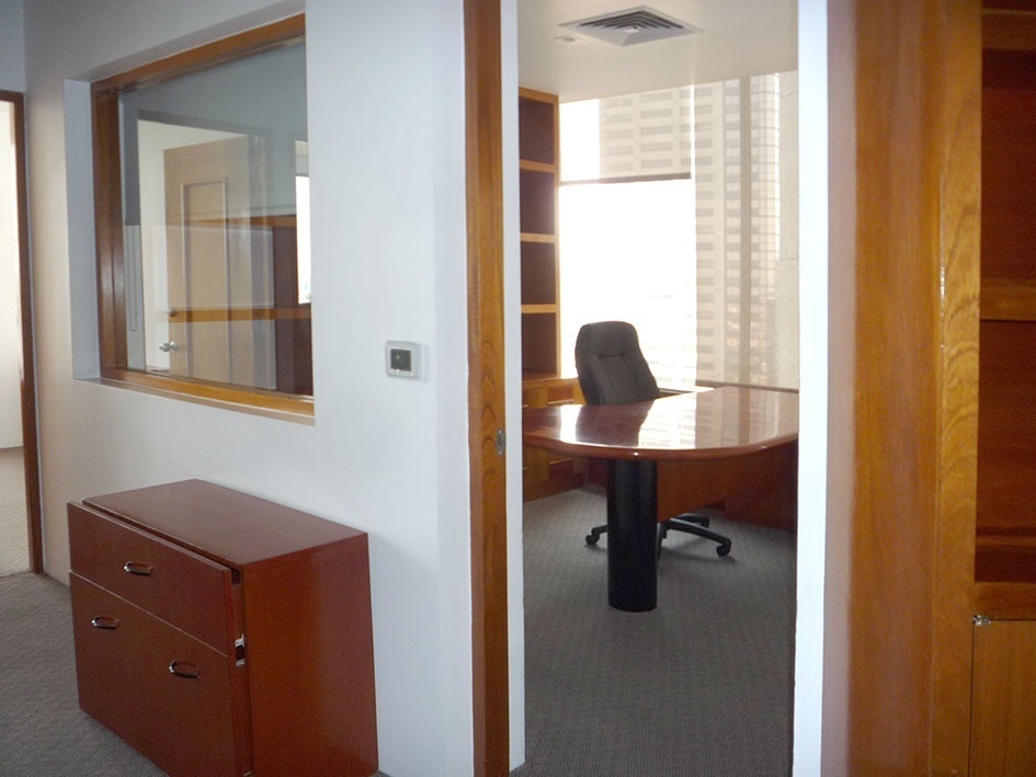 renta oficinas en avenida de las palmas