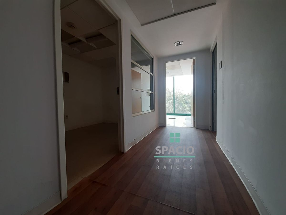 Renta Oficina en Avenida Palmas