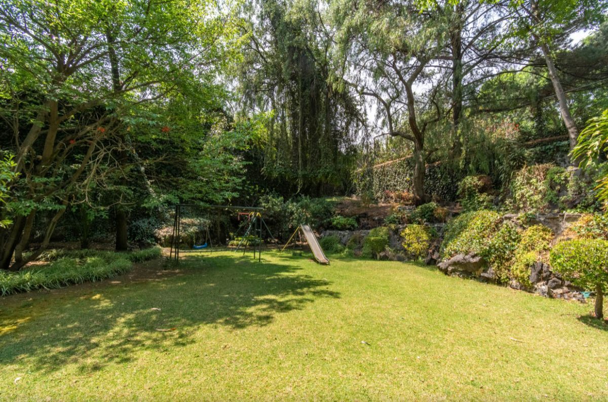 El mejor jardín de Jardines del Pedregal