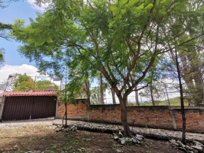 Se vende casa en agua escondida ubicada en Ixtlahuacan de los membrillos