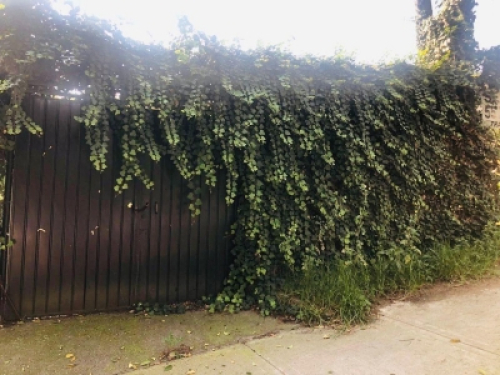 Casa En Venta O Renta En Lomas De Chapultepec