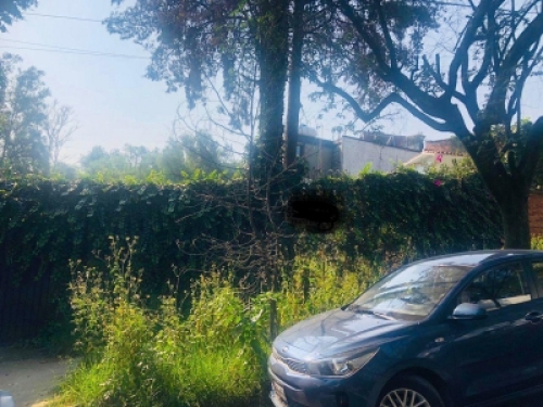 Casa En Venta O Renta En Lomas De Chapultepec