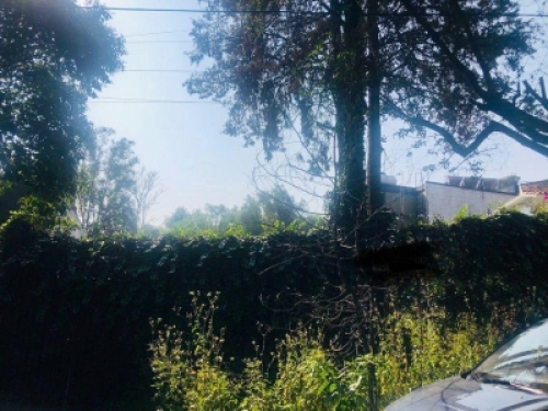 Casa En Venta O Renta En Lomas De Chapultepec