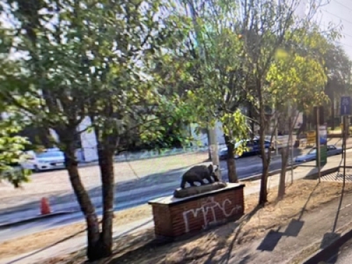 Terreno En Venta Para Bodegas En Adolf Horn Jr  Tlajomulco De Zúñiga 