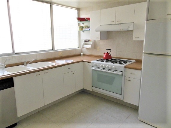 Departamento Renta Amueblado Polanco Suderman 