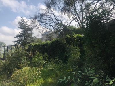 Terreno En Venta Lomas De Chapultepec