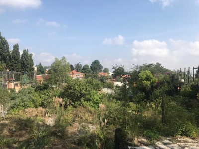 Terreno En Venta Lomas De Chapultepec