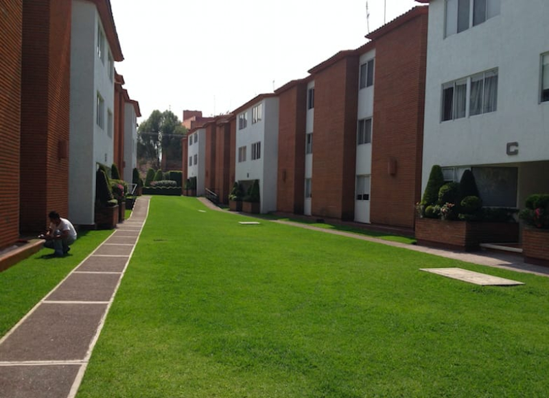 Renta Departamento 3 recÃ¡maras Toriello Guerra