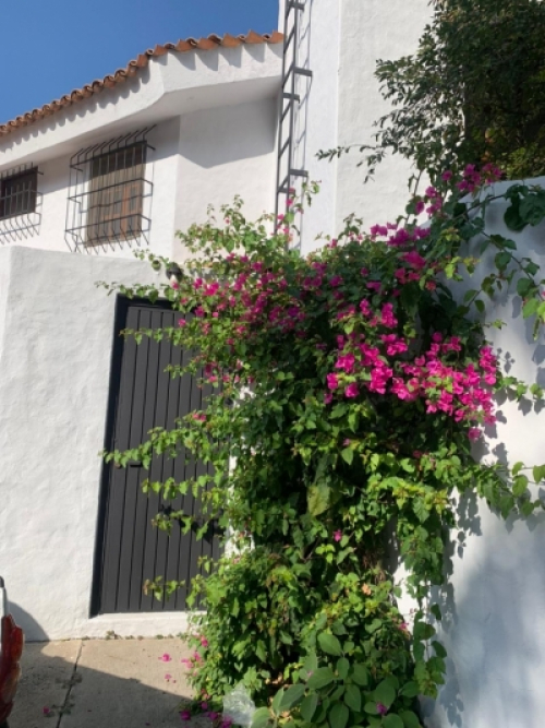 Casa En Venta En Villa Universitaria