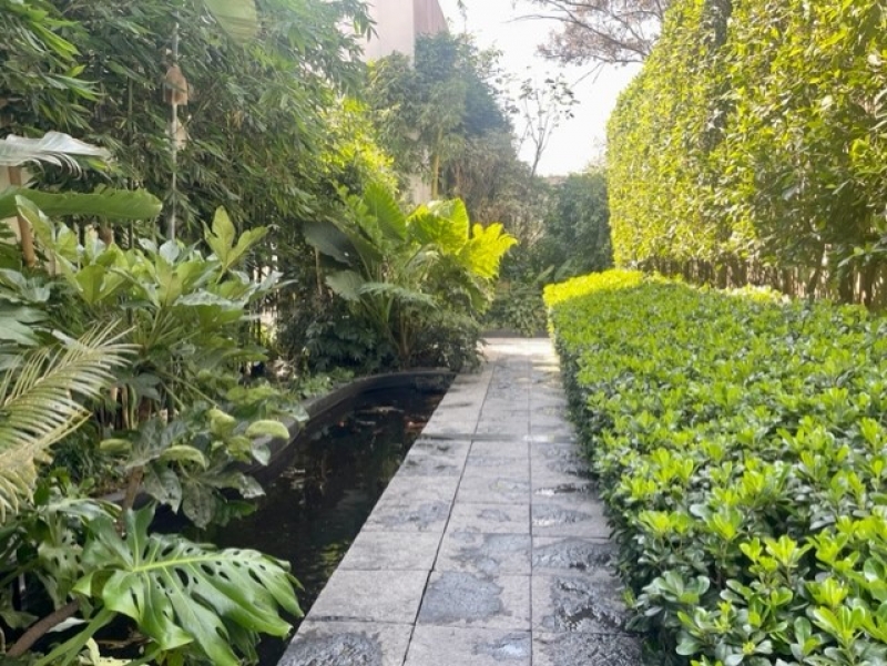 Casa En Venta Privada - Arq. Aragones Bosques De Las Lomas