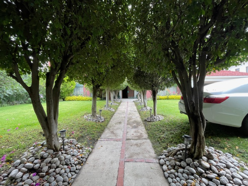 Terreno En Venta En Coyoacán