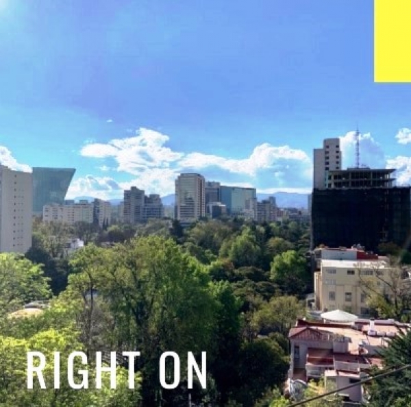 newton, impresionante depto en el corazón de polanco, con balcón