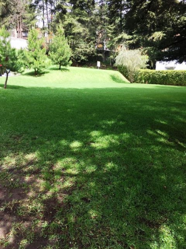 DESARROLLO TENIS, Frente a Rancho San Francisco, Terreno en Venta