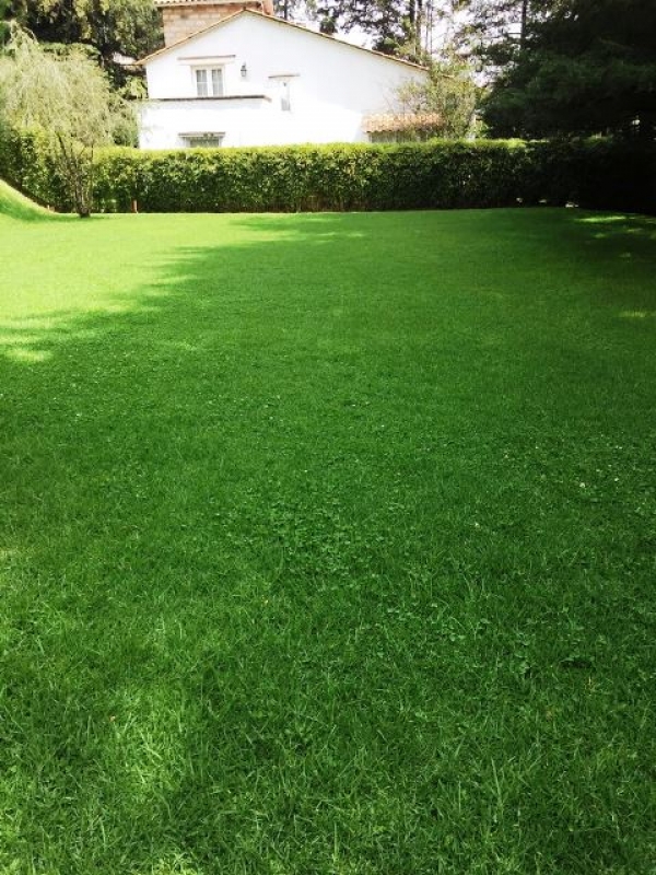 DESARROLLO TENIS, Frente a Rancho San Francisco, Terreno en Venta
