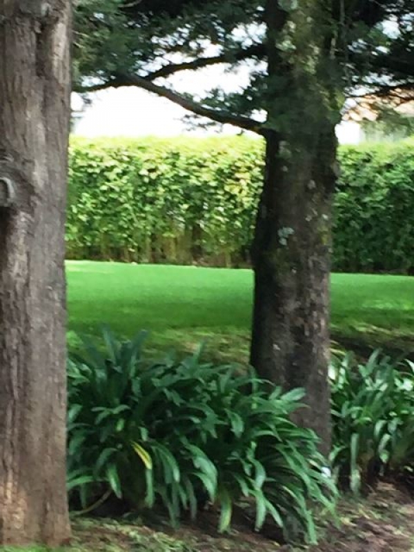 DESARROLLO TENIS, Frente a Rancho San Francisco, Terreno en Venta