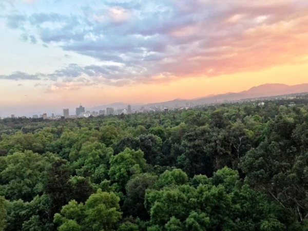 rubén darío, espectacular dpto en venta y renta, con terraza. áreas comunes