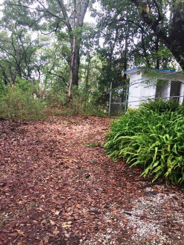 CERRADA CAMINO A CHALMA, Col. Fracc del Bosque, Terreno en Venta