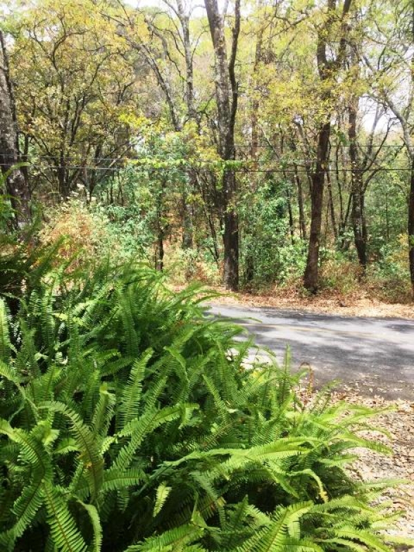 CERRADA CAMINO A CHALMA, Col. Fracc del Bosque, Terreno en Venta
