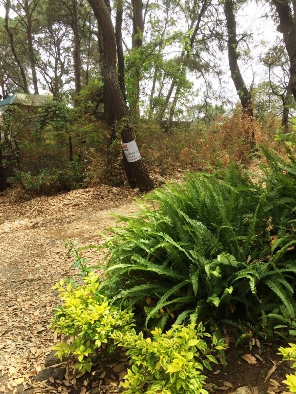 CERRADA CAMINO A CHALMA, Col. Fracc del Bosque, Terreno en Venta