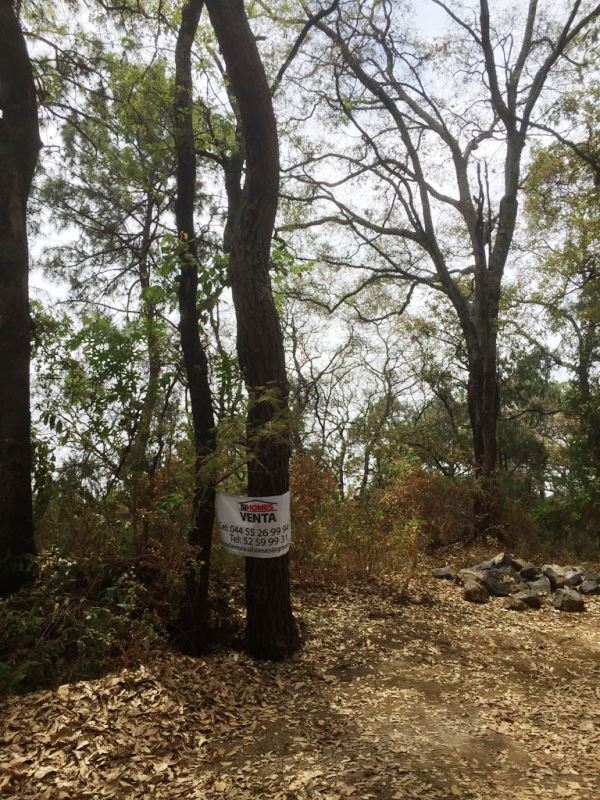 CERRADA CAMINO A CHALMA, Col. Fracc del Bosque, Terreno en Venta