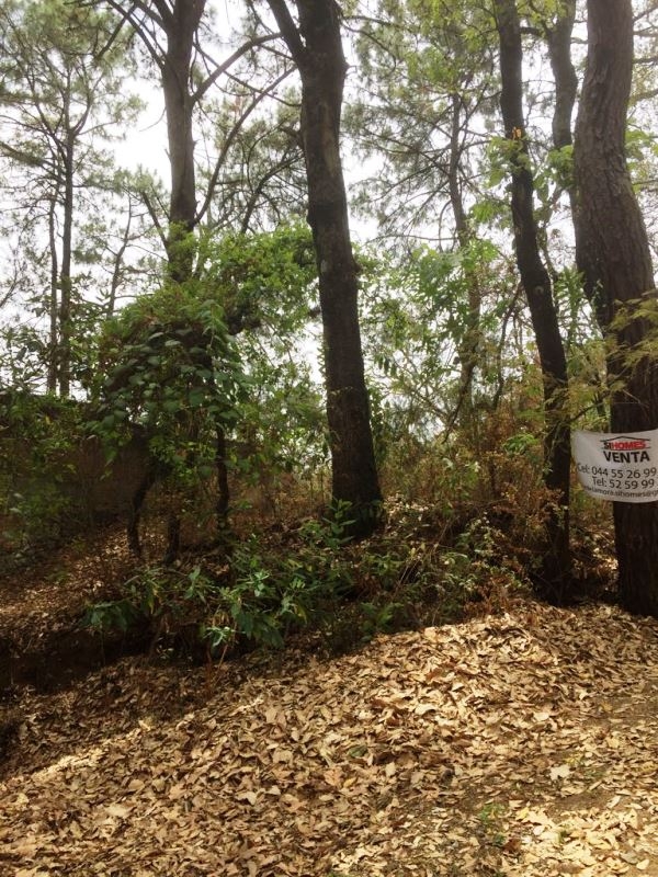CERRADA CAMINO A CHALMA, Col. Fracc del Bosque, Terreno en Venta