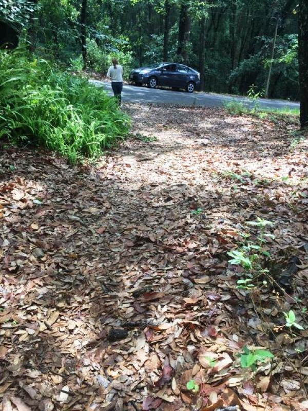CERRADA CAMINO A CHALMA, Col. Fracc del Bosque, Terreno en Venta