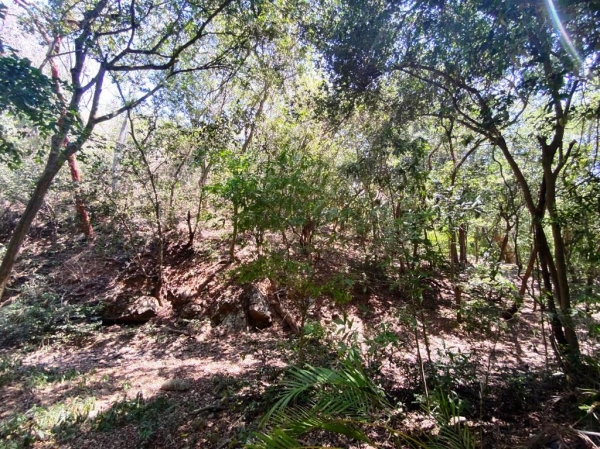 CONDOMINIO ARCANO, Terreno en Venta con seguridad, en Ixtapa Zihuatanejo. Lote 2