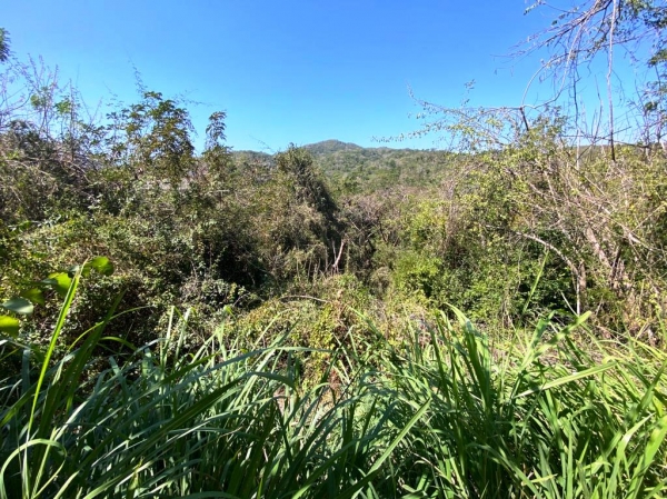 CONDOMINIO ARCANO, Terreno en Venta con seguridad, en Ixtapa Zihuatanejo. Lote 2
