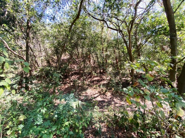 CONDOMINIO ARCANO, Terreno en Venta con seguridad, en Ixtapa Zihuatanejo. Lote 3