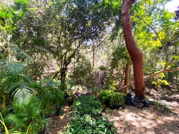 CONDOMINIO ARCANO, Terreno en Venta con seguridad, en Ixtapa Zihuatanejo. Lote 3
