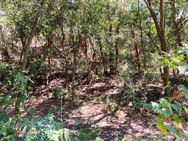 CONDOMINIO ARCANO, Terreno en Venta con seguridad, en Ixtapa Zihuatanejo. Lote 3
