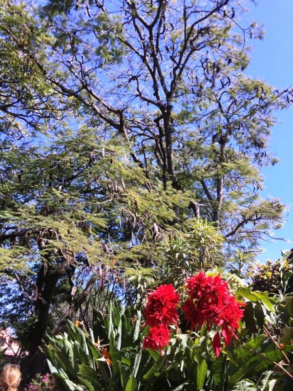 terreno en venta entre morelos y galeana, cuernavaca